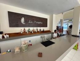 Foto 17 de Monarca Ixtapa | Exclusivo Departamento Frente al Mar
