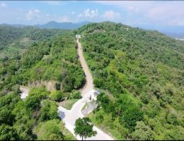 Foto 8 de Venta de Lote Exclusivo con Vista a la Bahía de Zihuatanejo y Playa Larga