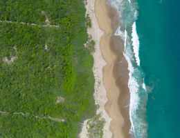 Foto 2 de AGUA DULCE | Macrolote de Inversión en Venta Frente al Mar