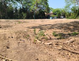 Foto 4 de Ixtapa | Terreno en Venta en Zona Residencial