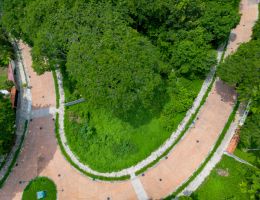 Foto 6 de Ixtapa | Terreno en Venta en Zona Residencial