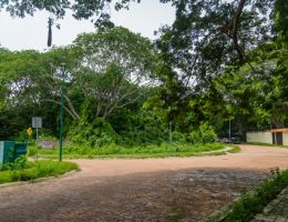 Foto 8 de Ixtapa | Terreno en Venta en Zona Residencial