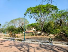 Foto 9 de Ixtapa | Terreno en Venta en Zona Residencial