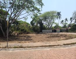 Foto 3 de Ixtapa | Terreno en Venta en Zona Residencial