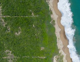 Foto 11 de AGUA DULCE | Macrolote de Inversión en Venta Frente al Mar